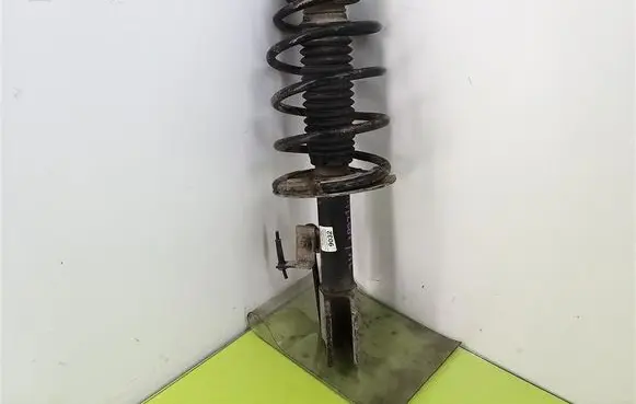Peugeot 307 Front shock absorber with coil spring 