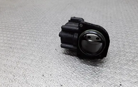 Ford Fiesta Throttle valve