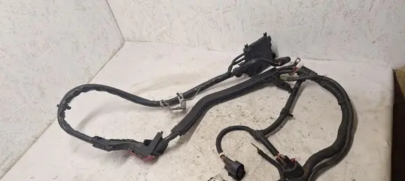 Audi A6 S6 C7 4G Wires (starter motor) 4G0971824R