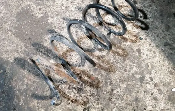 Front coil spring