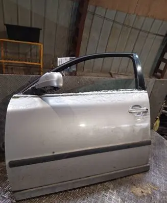 Volkswagen PASSAT B5.5 Front door