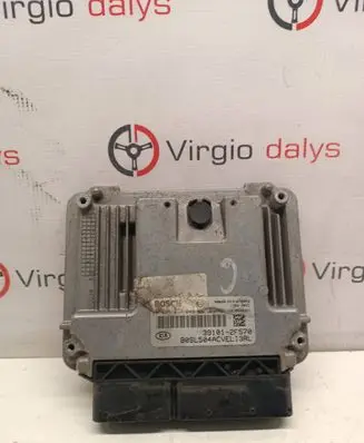 KIA Sportage Engine control unit/module 391012f570