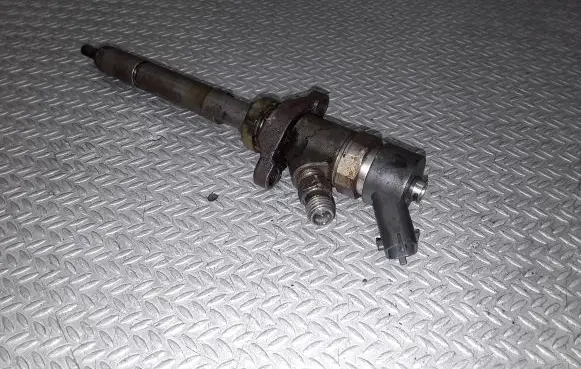 Citroen C5 Fuel injector 0445110188