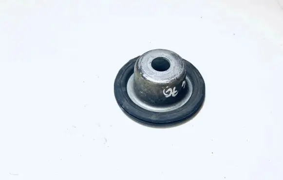 Coil spring mount