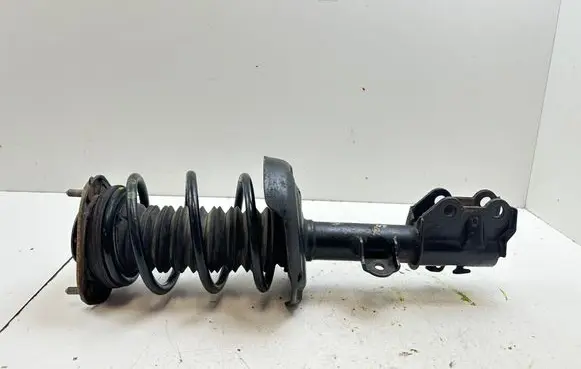 Toyota C-HR I Front shock absorber with coil spring 48520F4021
