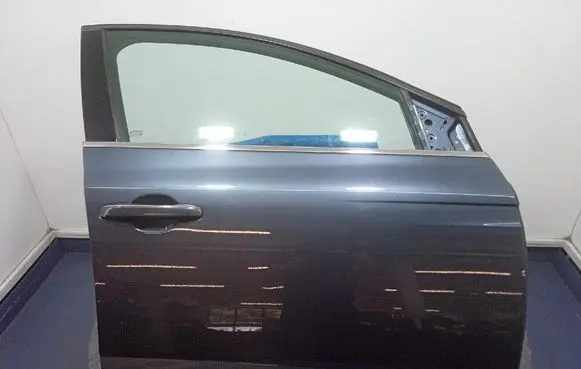 Renault Megane I Front door 