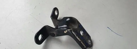 KIA Sportage Rear door lower hinge