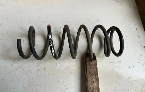 Rear coil spring