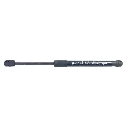 Ford Mustang VI Tailgate/trunk strut/damper FR3B63406A10BB