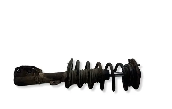 Chevrolet Captiva Front shock absorber/damper 
