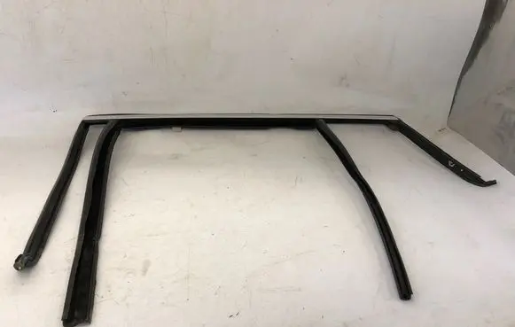 BMW X4 G02 Rubber seal rear door window/glass 223302