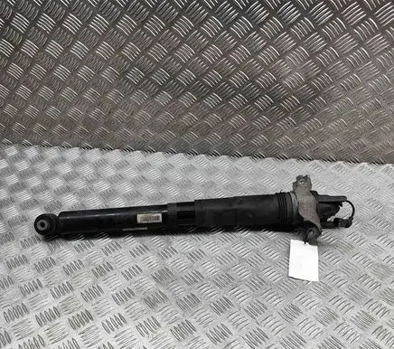 Porsche Cayenne (9Y0 9Y3) Rear shock absorber/damper 9Y0513031C