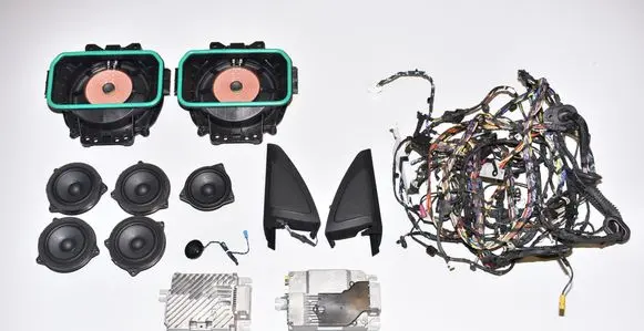 BMW X7 G07 Audio system kit 17184923 25278341 6809629