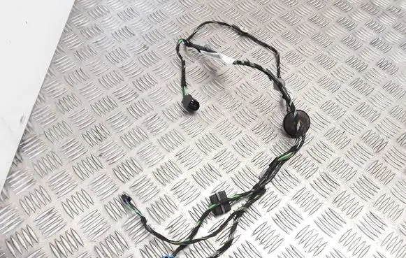 Mercedes-Benz A W169 Front door wiring loom A1695407505
