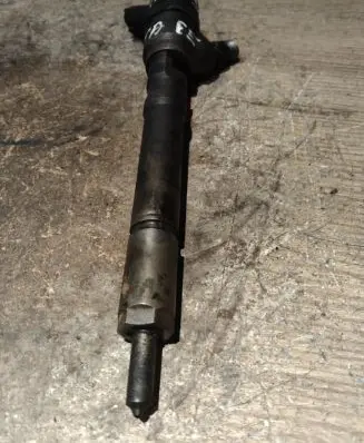 Hyundai Santa Fe Fuel injector 0445110064 3380027010