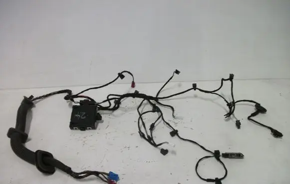 Mercedes-Benz B W247 Front door wiring loom A2479980201