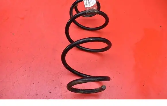 Dacia Dokker Rear coil spring 