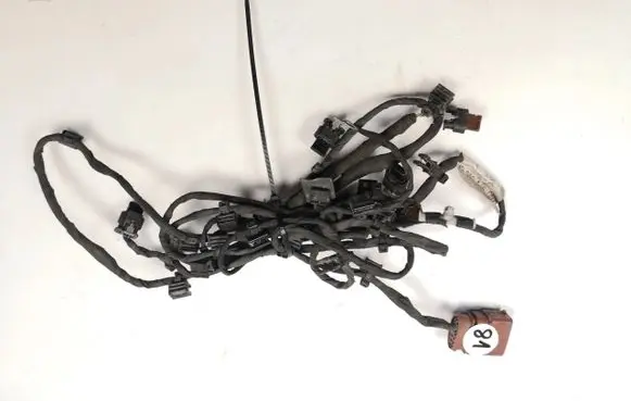 Audi A8 S8 D5 Other wiring loom 4N0971095CK