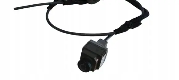 Reversing camera