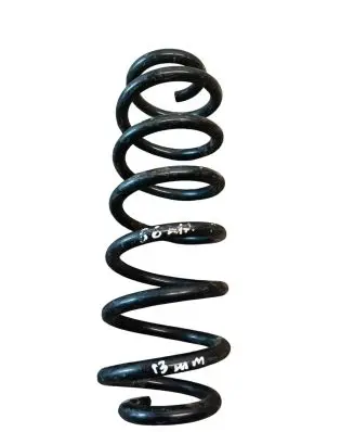 Volkswagen PASSAT B6 Rear coil spring