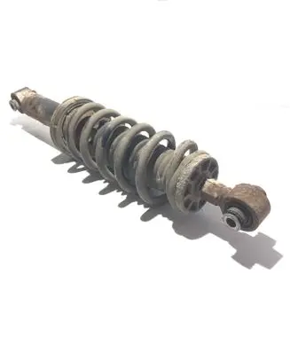 Peugeot 407 Rear shock absorber with coil spring 5206FG