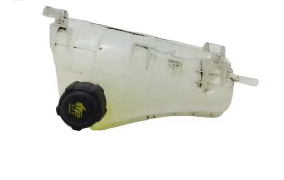 Renault Kangoo II Coolant expansion tank/reservoir 8200455786