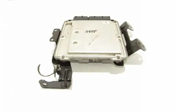 KIA Sorento Engine control unit/module 391012F020