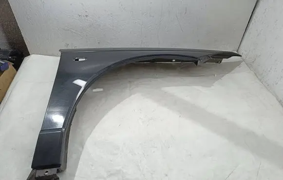 Citroen C6 Fender