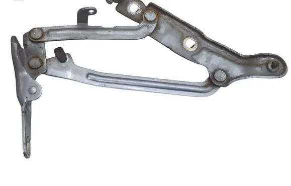 Tailgate/trunk/boot hinge
