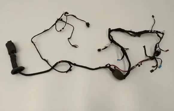 BMW 6 G32 Gran Turismo Front door wiring loom 8795388 6038467