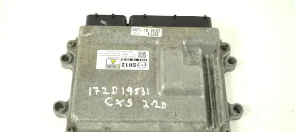 Engine control unit/module ECU
