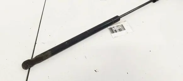 Tailgate/trunk strut/damper