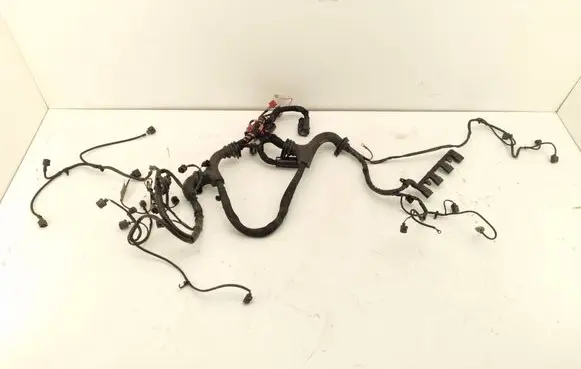 Audi A6 S6 C6 4F Engine installation wiring loom 4F1971072EQ