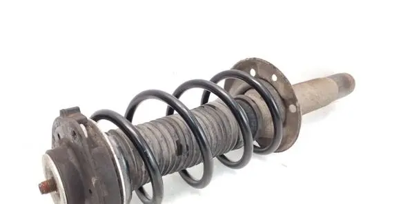 Front shock absorber with coil spring
