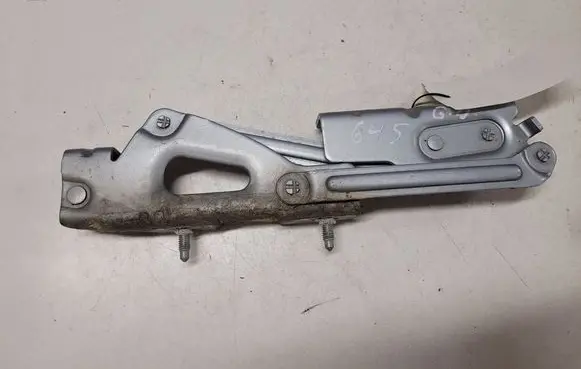 Peugeot 407 Tailgate/trunk/boot hinge