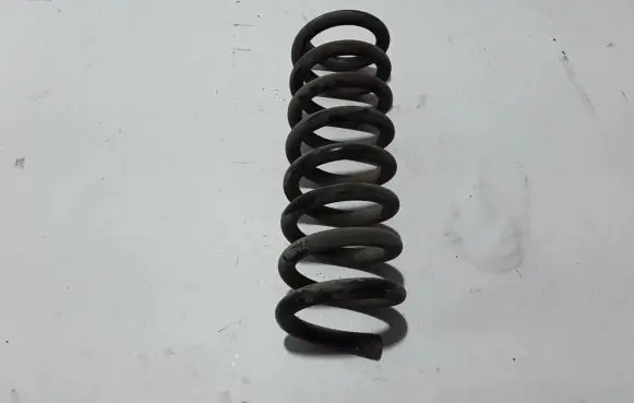 Mercedes-Benz SLK R171 Rear coil spring A2023242504