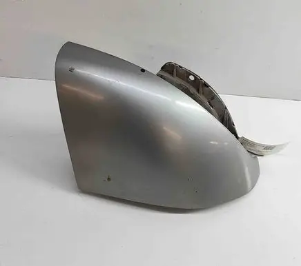 Rear/tail light trim molding
