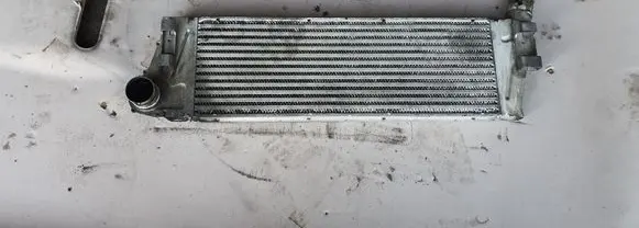 Renault Megane II Intercooler radiator