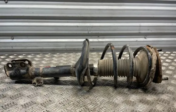Toyota RAV 4 (XA20) Front shock absorber/damper
