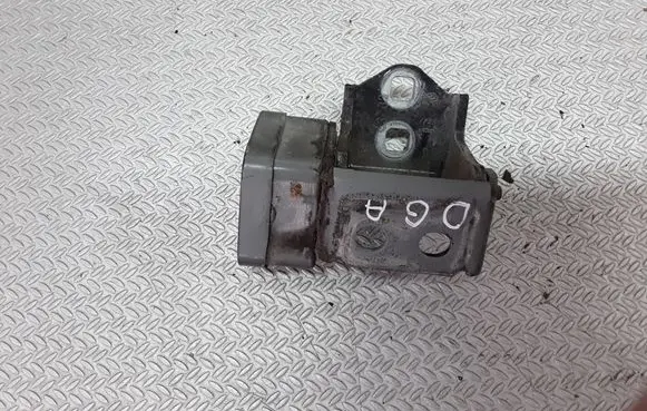 Renault Megane II Rear door lower hinge