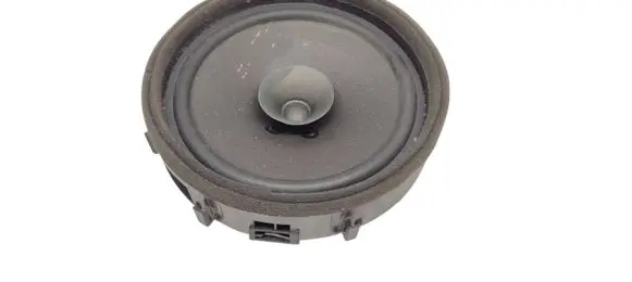 Rear door speaker