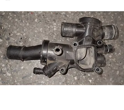 Thermostat/thermostat housing