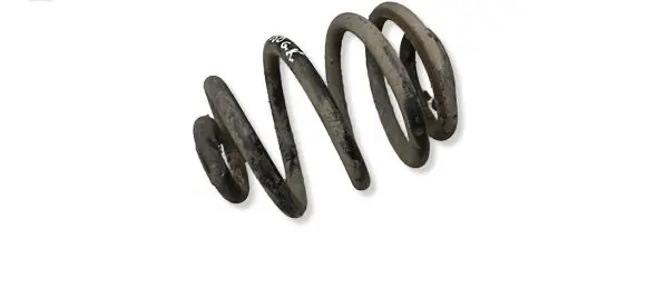 Volkswagen Sharan Rear coil spring 