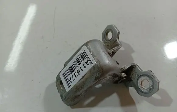 Renault Laguna III Rear door lower hinge 