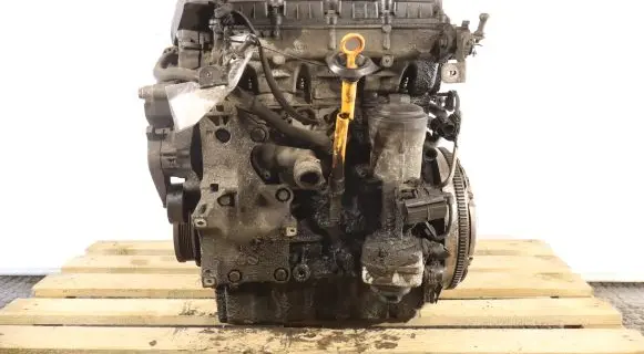 Skoda Octavia Mk2 (1Z) Engine