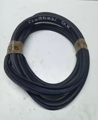 Mini Clubman F54 Rear door rubber seal (on body) 7344161