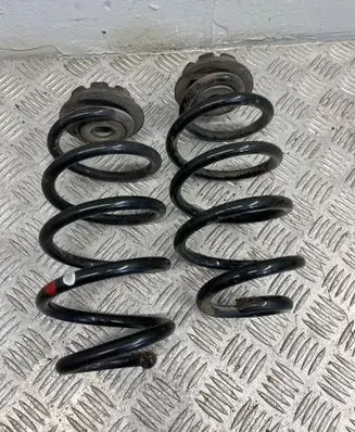 Nissan Juke I F15 Rear coil spring 