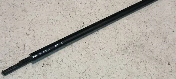 Rear door glass trim molding