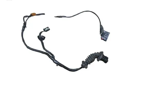 Front door wiring loom