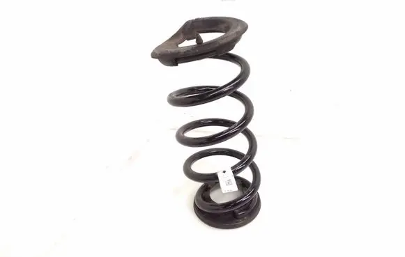 Tesla Model 3 Rear coil spring 134447100B CZH241440012780